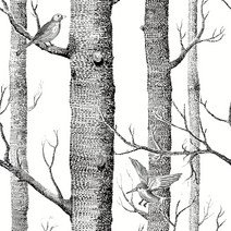Zeeko 자작나무 벽지 필 앤 스틱 새 벽지 블랙 앤 화이트 스케치 벽지 44.9 x 60.9cm(17.7 x 236.22인치), 한개옵션0