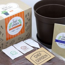 파라솔-셰프가든 루꼴라키우기 씨앗키우기 애완식물 _20229911EA, 쿠팡 본상품선택