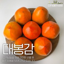 산지에서바로 품질선별 최상품 대봉감 대봉 홍시 특대과 대과 중과 소과 3kg 4.5kg 10kg, 대봉감 10kg 특대과