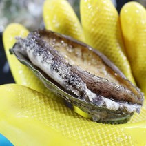 두팜 3~4년산 완도 대전복 1kg (11~13마리 내외), 12미 전복 1kg(선물보자기포장)