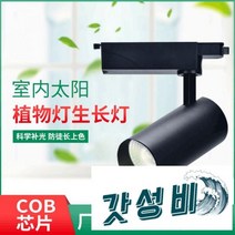 등 풀스펙트럼 원예 꽃집 다육보광등 벽 레일등, 10w [블랙 ] 6000K
