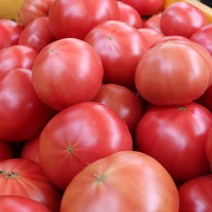 토마토 완숙찰토마토 2kg 5kg 10kg 쥬스용 주스용, 소과 2kg, 1개