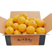 제주직송 올탑농원 국내산오렌지 청견4.5kg 프리미엄과, 단품