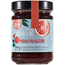 꽃샘 피어나다 히비스커스&자몽 액상차 350g, 2개