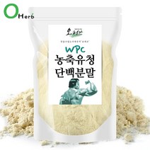 오허브 농축유청단백분말 가루 단백질 보충제 쉐이크 500g, 상세페이지참조