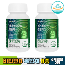 비타민B 컴플렉스 비타민 B1 B2 B6 B12 판토텐산 비오틴 엽산 나아아신, [6개월분]-2병