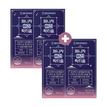 [2+2] 비긴바이오 펴니자 비긴 락티움 500mg x 30정 x 4box, 120정(30정x4박스)