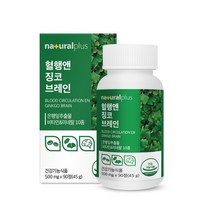내츄럴플러스 기억력 개선 혈행 앤 징코 브레인 1박스(3개월분) 은행잎추출물, 1개, 90정