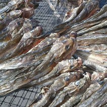 서해안 특산품 별미 무염 무조미 건조 망둥어 500g 한때 흔하던 대표어종 이제는 귀족어종입니다