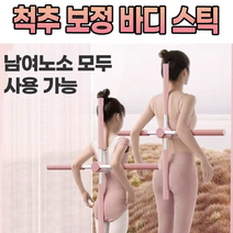 바디스틱 체형보정 스트레칭 척추 보정 바디 스틱 십자가 홈트, 본품