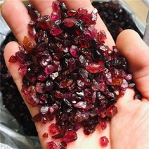 삼엽충 화석 암모나이트 수석 골동품 수집품 나무화석 천연 거친 런덤 돌 및 미네랄 치유 스탈 루비 보석 보석 표본, 500g