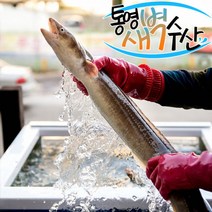 통영 자연산 손질 바다장어 1kg(1~2미)비교불가 사이즈, 장어 1kg, 특대, 포함, 1개