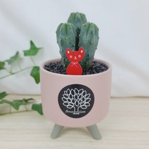 플라워앤곰_[용신목/미니삼발이]_핑크 1개