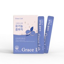 그레이스랩 유기농 콤부차 5g, 9박스(270포) - 19%추가할인, 9개, 30개입