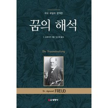 꿈의 해석