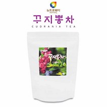 국내산 꾸지뽕차100티백 구찌뽕차 꾸지뽕티백차 구지뽕티백차, 100g, 1개