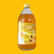 황금과일 비파 농축주스 500ml 1병 4배희석용 비타민주스 선물용, 1개