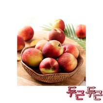 황도 2.5kg (12과)(특특)제철과일, 가락마켓 천도 복숭아 5kg (41-50과)/제철과일