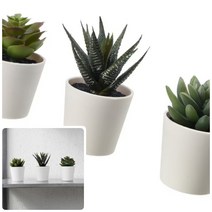 위월천 이케아 인조 다육 식물 화분 6CM 3개 이케아조화 조화인테리어 조화소품 인조나무
