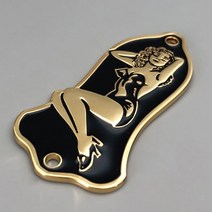 견고한 Gibson Lespaul 기타 웰 액세서리 용 트러스로드 메탈 커버, 02 금