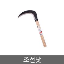 조선낫