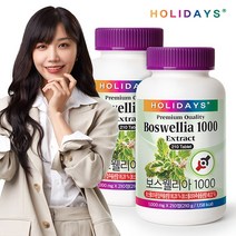홀리데이즈 대용량 관절&연골 건강 보스웰리아 1000 x 2병 (총420정), 2개, 210g