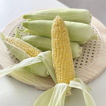 아삭 달콤한 돌담 제주 초당 옥수수 특품 16cm내외, 01.초당옥수수 특품 10개(16cm내외)