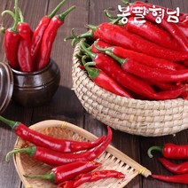 해남 혼합 홍고추 10kg 홍초 당일수확 붉은고추, 1개