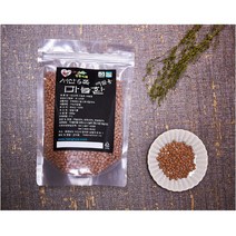 정동홍화마을 리필용 서산6쪽 마늘환 300g, 1개