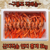쪄서 배송되는 프리미엄 구룡포 연지 자숙 홍게, 3kg(찜하기 전), A급홍게(수율80~90%), 1개