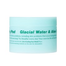 스테들리 빙하수알로에 쿨링패드80매, 80매입, 1개