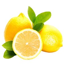 레몬썬키스트대과 판매순위 상위인 상품 중 가성비 좋은 제품 추천