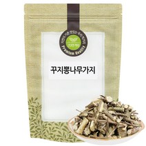 꾸지뽕 나무가지 600g 국산 국내산, 단품, 1개