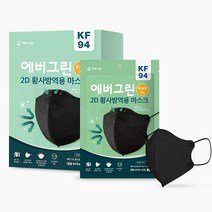 크린탑 에버그린 KF94 황사 마스크 2D 새부리형 대형 블랙(1박스25매), 1개, 25매
