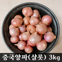 홍홍 중국식품 중국 전통양파 샬롯 모충, 3kg, 1개
