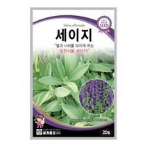 모칸도 (무배)세계 세이지 꽃씨 (20립)