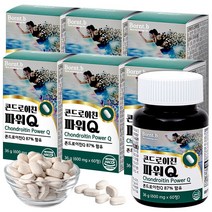 본트비 콘드로이친 파워Q, 60정, 6개