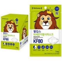 웰킵스 미세먼지황사마스크 대형 KF80, 25개입, 2개, 백색