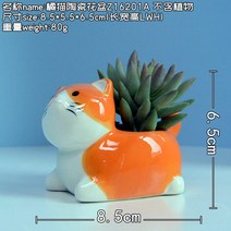 창조적 인 성격 만화 미니 다육 화분 세라믹 간단한 다채로운 귀여운 작은 동물 새해 선물, 오렌지 고양이 세라믹 화분에는 구멍이 없습니다. 식물