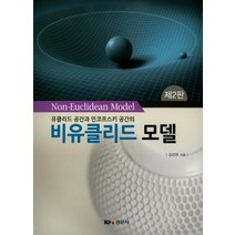유클리드 공간과 민코프스키 공간의 비유클리드 모델, 경문사, 김선부 저