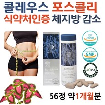 식약청 콜레우스 포스콜리 60대 중년 5일 다이어트 기초대사량 포스콜린 forskolin 추출물 다이어트에좋은음식 상체비만 알약 자기전 다이어트 쇼핑몰 테아닌 감태 홍경천