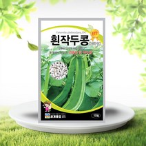 흰작두콩 씨앗 10립 넝쿨 백색 작두콩씨 일년생 종자, 단품