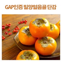 참과일 GAP인증 얼음골 단감, 1박스, 31~35과
