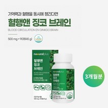 깜빡하는 습관 기억력 집중력 저하 두뇌 뇌 머리 혈액 혈관 혈행 순환 개선 관리 에 좋은 징코 은행잎 추출물 영양제, 1BOX(3개월분), 0.5g