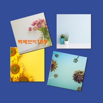 예닮 다쿠용 정사각 메모장 떡메 캐릭터메모지 귀여운메모지 예쁜메모지 칼라 대떡메 떡메모지 도안 떡메모지 제작 2권, 설산