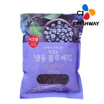 [CJ프레시웨이] 미국농림부 GradeA 냉동 블루베리 1kg, 단품