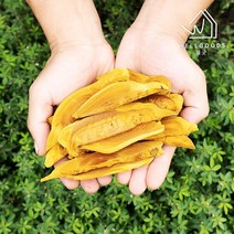 [웰굿] 농장직송 프리미엄 장수 상황버섯 절편 100g, 단품