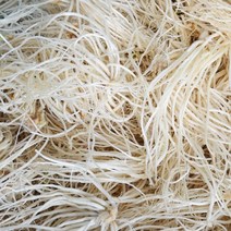 담양 무농약 뿌리삼채 2kg(세척)