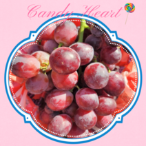 캔디 하트 솜사탕 씨없는 포도 수입, 캔디하트2팩(1.6kg), 2개