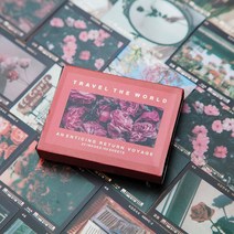 인스타 감성 배경 사진 PET 필름 다꾸 조각 스티커 다이어리꾸미기, 8.갈대 (ST-1988)